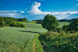 Czyszczenie i dezynfekcja klimatyzacji w Pruszkowie — terminy i ceny